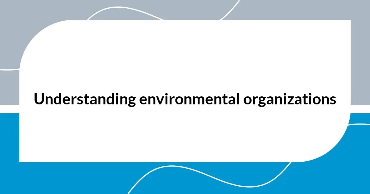 Understanding environmental organizations