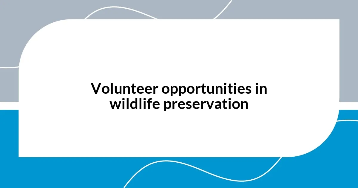 Volunteer opportunities in wildlife preservation