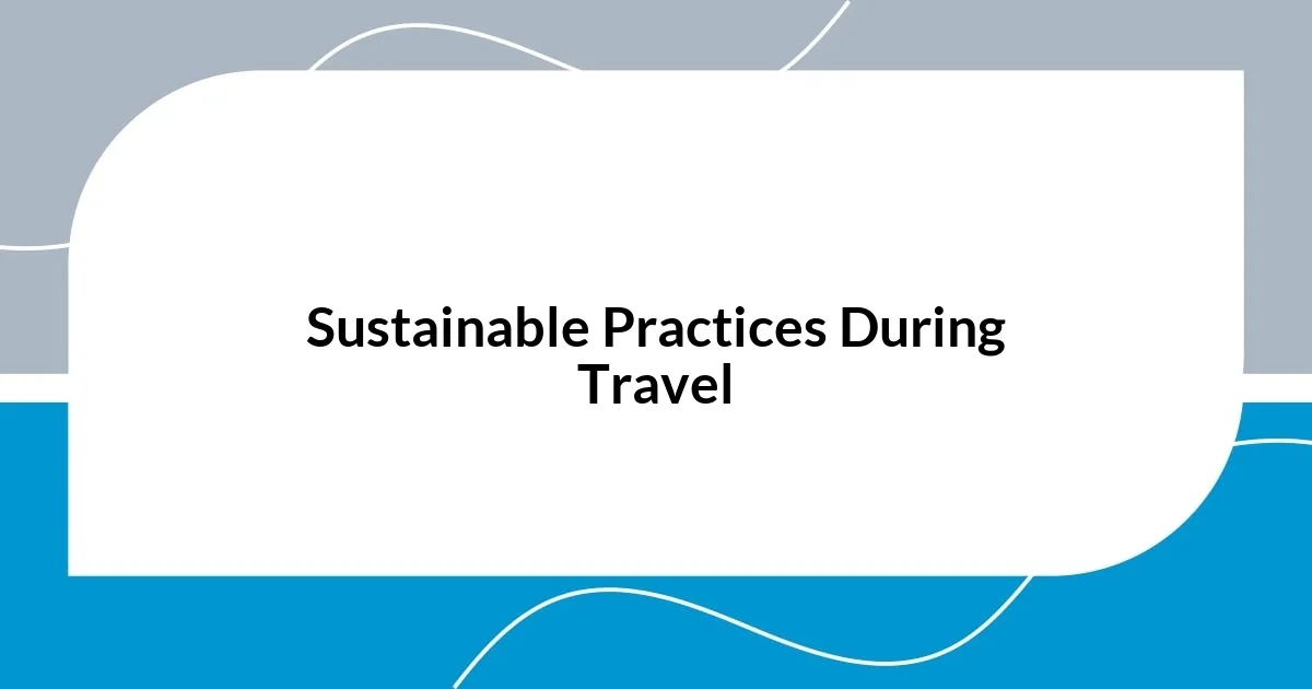 Sustainable Practices During Travel