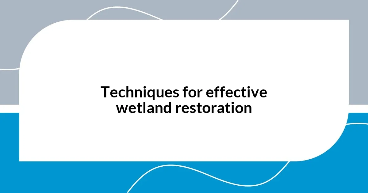 Techniques for effective wetland restoration