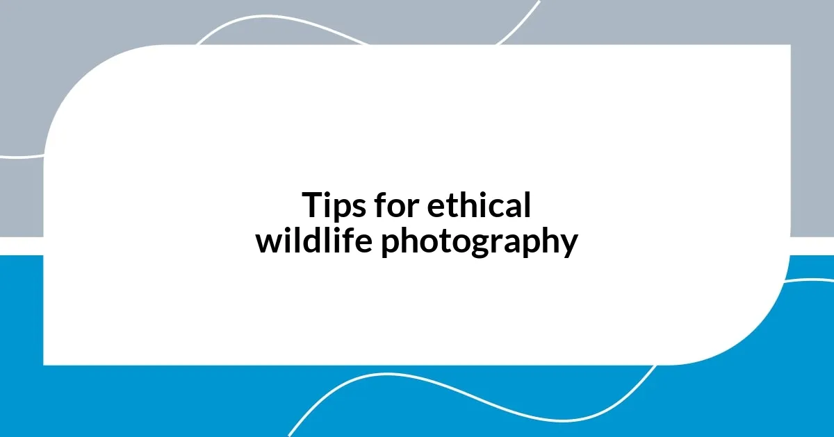 Tips for ethical wildlife photography